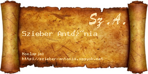 Szieber Antónia névjegykártya
